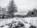 DSC_9482-Modifier-2