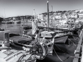 DSC_9577-Modifier-2