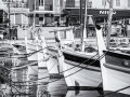 DSC_9594-Modifier