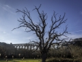 Roquefavour / Aqueduc