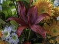 Fleurs