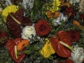Fleurs
