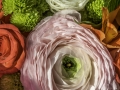 Fleurs