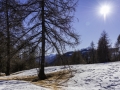 Aurons