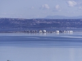 Etang de Berre/Saint Mitre les remparts