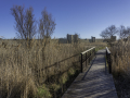 Aigues Mortes/Camargue,