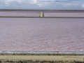 Salins de Giraud/Camargue