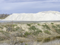 Salins de Giraud/Camargue