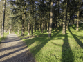 Parc de Parilly/Bron