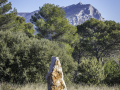 France, Provence/Sainte Victoire