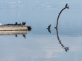 Etang de berre,
