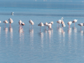 Etang de berre,