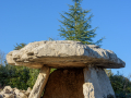Auriolles