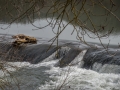 Layoule rodez 05.jpg