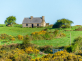 carrownagry