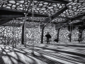 DSC_9010-Modifier