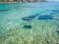 île de Korcula / Prizba et Grscica