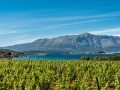 île de Korcula / Lumbarda