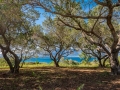 île de Korcula / Lumbarda