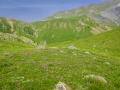 France, Mercantour