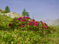 France, Mercantour