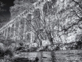 DSC_0239-Modifier