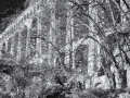 DSC_0245-Modifier