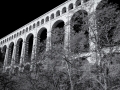 DSC_0257-Modifier