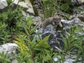 Hermine / La Plagne