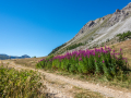 Chaberton/Montgenevre