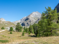 Chaberton/Montgenevre