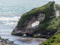 Motukiekie Beach/Nouvelle Zélande