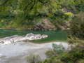 Buller Gorge Swing Bridge/Nouvelle Zélande