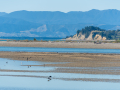 Motueka/Nouvelle Zélande