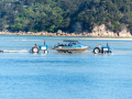 Abel Tasman/Nouvelle Zélande