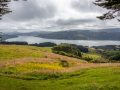 Aotearoa la péninsule d'Otago / Nouvelle Zelande