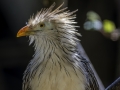 Parc des oiseaux/villars les dombes