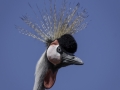 Parc des oiseaux/villars les dombes