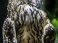 Parc des oiseaux/villars les dombes