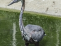 Parc des oiseaux/villars les dombes