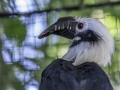 Parc des oiseaux/villars les dombes