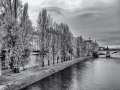 DSC_7830-Modifier