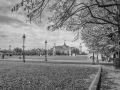 DSC_7889-2-Modifier