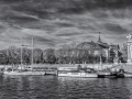 DSC_7913-Modifier