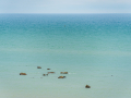 Dieppe/normandie