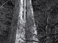 DSC_9363-Modifier-3