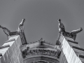 DSC_9409-Modifier