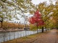 Ile aux cygnes / Paris