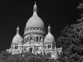 DSC_4394-Modifier