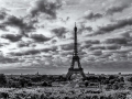 DSC_4466-Modifier